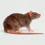 WhatsApp Image 2023-07-26 at 11.49.53