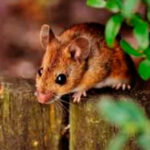 WhatsApp Image 2023-07-26 at 11.49.54