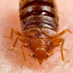 WhatsApp Image 2023-07-26 at 11.49.54 (2)