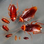 WhatsApp Image 2023-07-26 at 11.49.54 (3)