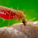 WhatsApp Image 2023-07-26 at 11.49.54 (4)