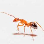 WhatsApp Image 2023-07-26 at 11.49.55 (1)