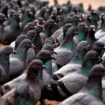 WhatsApp Image 2023-07-26 at 11.49.55