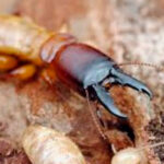 WhatsApp Image 2023-07-26 at 11.49.55 (2)